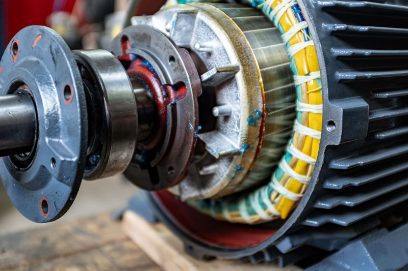 Generator Electrical Wiring in Tacoma
